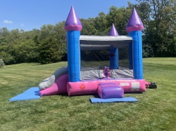 IMG 8594 1739128827 Purple/Pink Bouncer