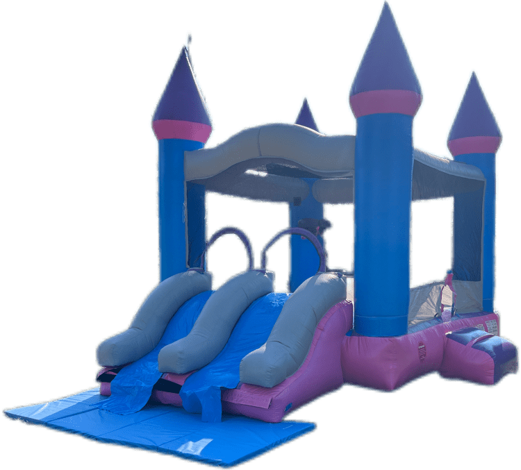 Purple/Pink Bouncer